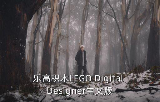 樂高積木LEGO Digital Designer中文版
