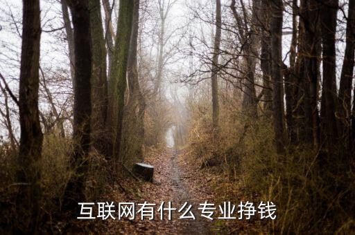 互聯(lián)網(wǎng)行業(yè)都有哪些工作賺錢，IT行業(yè)里什么職業(yè)最賺錢