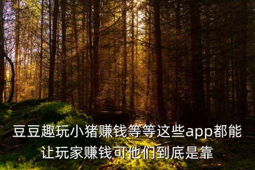 豆豆趣玩小豬賺錢等等這些app都能讓玩家賺錢可他們到底是靠