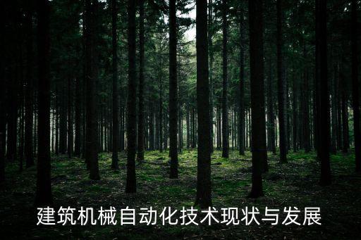 建筑機械自動化技術(shù)現(xiàn)狀與發(fā)展