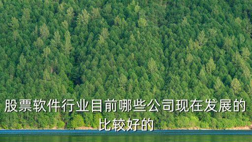 軟件開發(fā)龍頭股，股票軟件行業(yè)目前哪些公司現(xiàn)在發(fā)展的比較好的