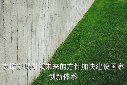 支撐發(fā)展引領(lǐng)未來(lái)的方針加快建設(shè)國(guó)家創(chuàng)新體系