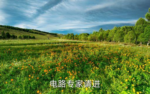 電路專家，電路專家請進