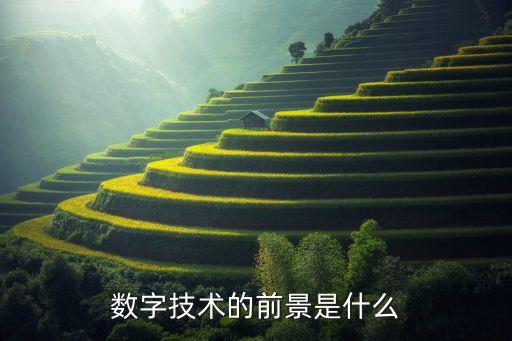 數(shù)字技術(shù)的前景是什么
