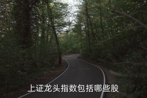 上證龍頭指數(shù)包括哪些股