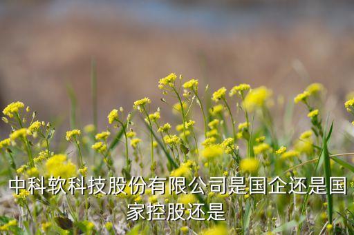 中國(guó)高科重組后還是國(guó)有控股，新設(shè)立的高新技術(shù)企業(yè)是設(shè)立有限責(zé)任公司還是股份有限公司好  搜