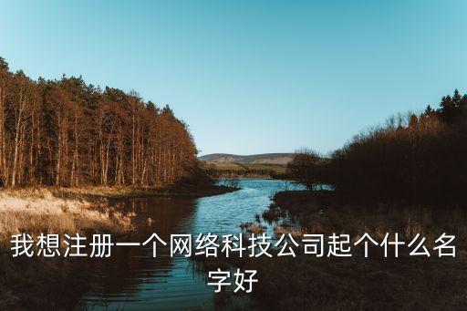 我想注冊(cè)一個(gè)網(wǎng)絡(luò)科技公司起個(gè)什么名字好