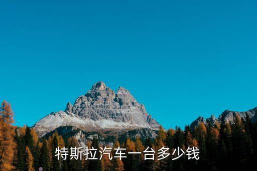 特斯拉汽車一臺(tái)多少錢
