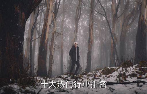 十大熱門行業(yè)排名