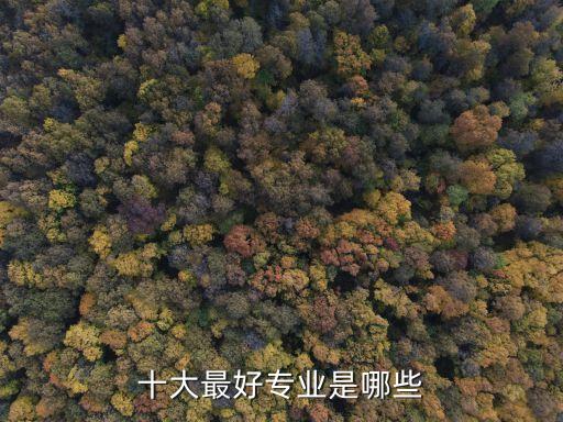 十大最好專業(yè)是哪些