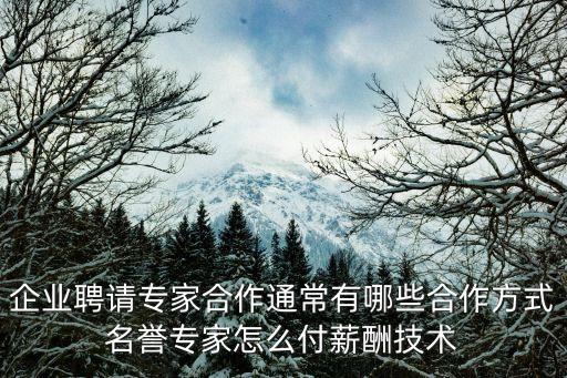 企業(yè)聘請(qǐng)專家合作通常有哪些合作方式名譽(yù)專家怎么付薪酬技術(shù)
