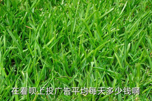 在看唄上投廣告平均每天多少錢啊