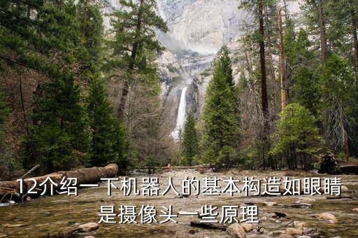 12介紹一下機器人的基本構(gòu)造如眼睛是攝像頭一些原理