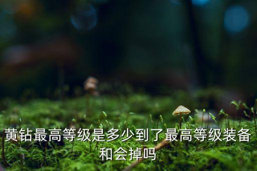 黃鉆最高等級(jí)是多少到了最高等級(jí)裝備和會(huì)掉嗎