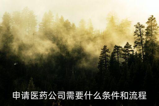 申請醫(yī)藥公司需要什么條件和流程
