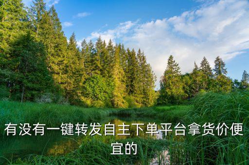 有沒有一鍵轉(zhuǎn)發(fā)自主下單平臺拿貨價便宜的