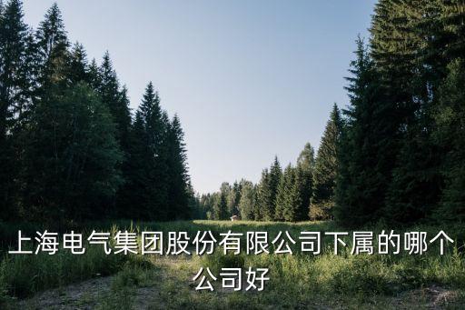 上海電氣集團(tuán)股份有限公司下屬的哪個(gè)公司好