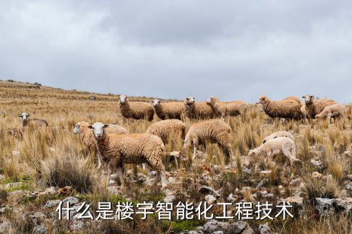 樓宇智能化工程技術(shù)，什么是樓宇智能化技術(shù)工程