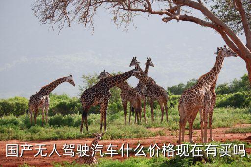 國(guó)產(chǎn)無(wú)人駕駛汽車什么價(jià)格現(xiàn)在有買嗎