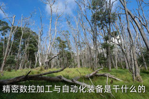 精密數(shù)控加工與自動化裝備是干什么的