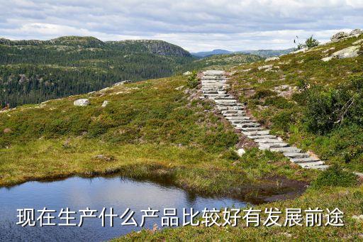 2022年什么產(chǎn)品前景好，現(xiàn)在生產(chǎn)什么產(chǎn)品比較好有發(fā)展前途