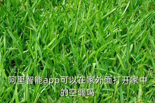 阿里智能app可以在家外面打開家中的空調嗎