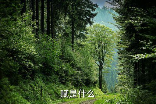 什么是賦能，賦值是什么