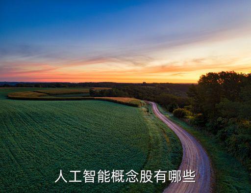 人工智能行業(yè)股票有哪些龍頭股，人工智能龍頭股有哪些