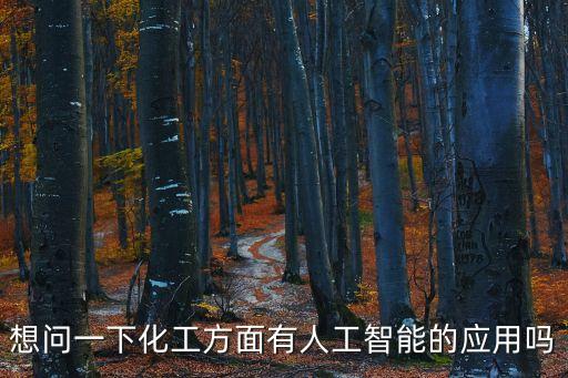 化工智能制造技術(shù)，想問一下化工方面有人工智能的應(yīng)用嗎