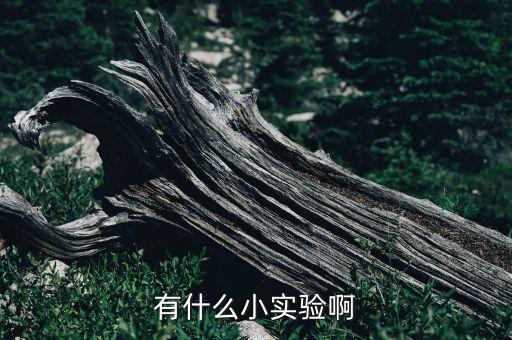 小實(shí)驗(yàn)簡(jiǎn)單，初中物理簡(jiǎn)單實(shí)驗(yàn)