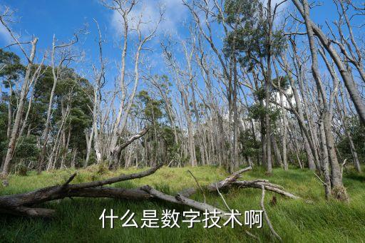 數(shù)字科技，什么是數(shù)字科技