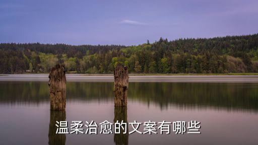 溫柔治愈的文案有哪些