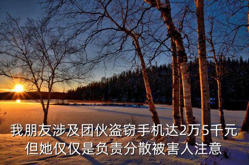 我朋友涉及團伙盜竊手機達2萬5千元但她僅僅是負(fù)責(zé)分散被害人注意