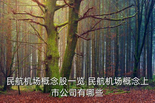大飛機(jī)概念股龍頭股最多45元，大飛機(jī)概念股龍頭一覽 哪些大飛機(jī)概念股將爆發(fā)