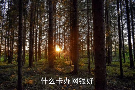 銀行數(shù)字化轉(zhuǎn)型建議，網(wǎng)銀是干什么用的怎么辦理啊