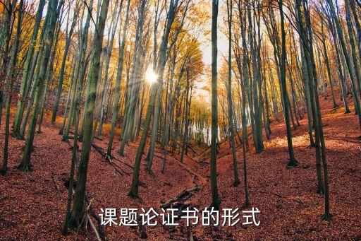 課題論證書(shū)的形式