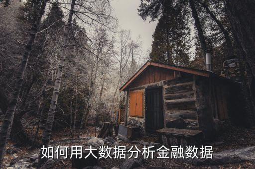 如何用大數(shù)據(jù)分析金融數(shù)據(jù)