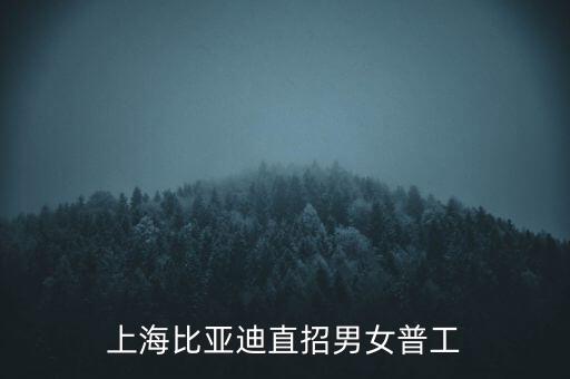 上海比亞迪直招男女普工