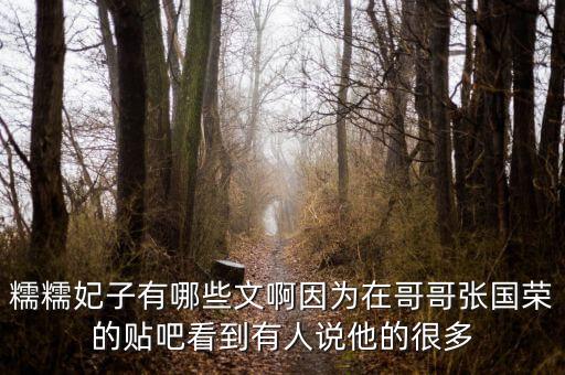 糯糯妃子有哪些文啊因?yàn)樵诟绺鐝垏鴺s的貼吧看到有人說他的很多