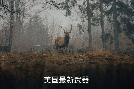 美國最新武器