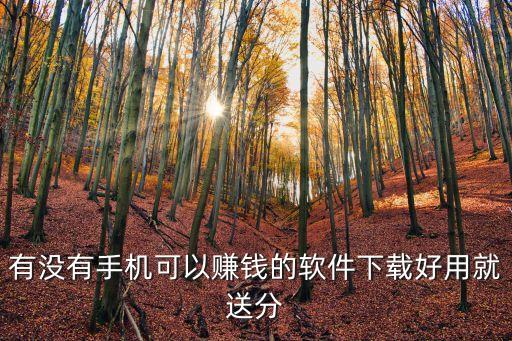 有沒(méi)有手機(jī)可以賺錢的軟件下載好用就送分