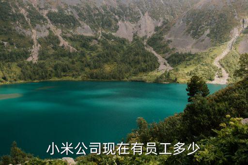 小米前100號(hào)員工名單，米家的成員