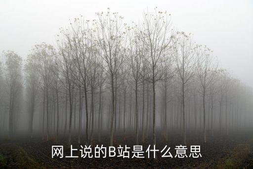 網(wǎng)上說的B站是什么意思