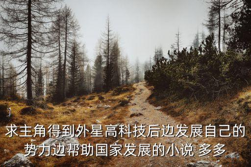求主角得到外星高科技后邊發(fā)展自己的勢力邊幫助國家發(fā)展的小說 多多