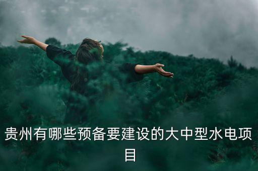 貴州有哪些預(yù)備要建設(shè)的大中型水電項(xiàng)目