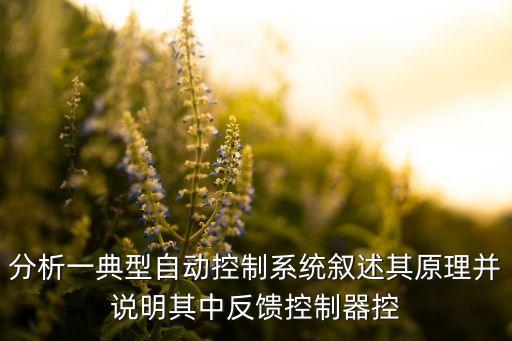 分析一典型自動控制系統(tǒng)敘述其原理并說明其中反饋控制器控