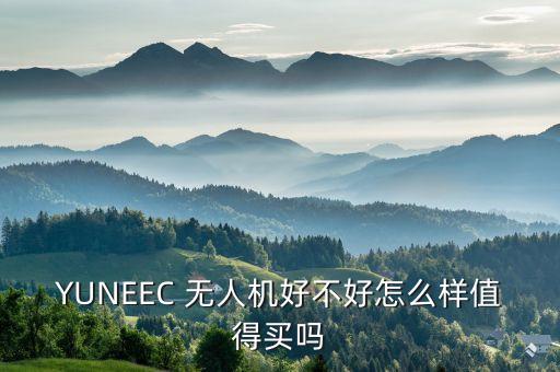 云圣智能無(wú)人機(jī)，請(qǐng)問(wèn)大家一下這個(gè)無(wú)人機(jī)的牌子到底叫什么啊好想入一個(gè)謝謝大家