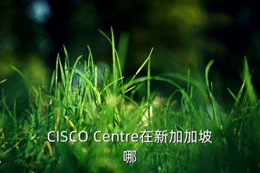 CISCO Centre在新加加坡哪