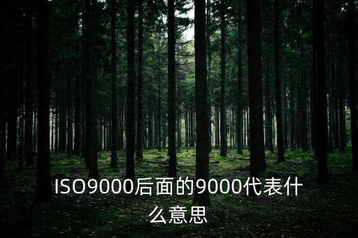 ISO9000后面的9000代表什么意思