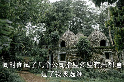 同時面試了幾個公司指盟多盟有米都通過了我該選誰